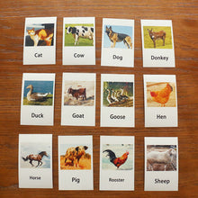 Load image into Gallery viewer, Animal flash cards &amp; models (Large Range!)
