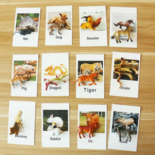 Load image into Gallery viewer, Animal flash cards &amp; models (Large Range!)
